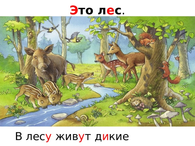 Э то л е с . В лес у жив у т д и кие жив о тные .