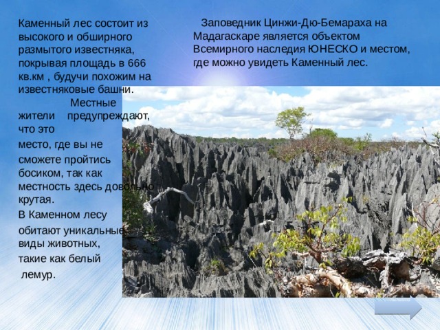Заповедник Цинжи-Дю-Бемараха на Мадагаскаре является объектом Всемирного наследия ЮНЕСКО и местом, где можно увидеть Каменный лес. Каменный лес состоит из высокого и обширного размытого известняка, покрывая площадь в 666 кв.км , будучи похожим на известняковые башни. Местные жители предупреждают, что это место, где вы не сможете пройтись босиком, так как местность здесь довольно крутая. В Каменном лесу обитают уникальные виды животных, такие как белый  лемур.