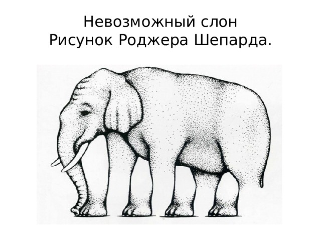 Невозможный слон  Рисунок Роджера Шепарда.