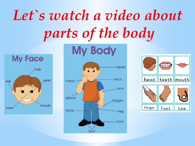 Let`s watch a video about  parts of the body