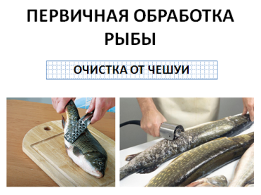 Тест обработка рыбы. Технология первичной обработки рыбы. Ножи для обработки рыбы. Технология обработки рыбы 6 класс. Первичная обработка рыбы с чешуей.