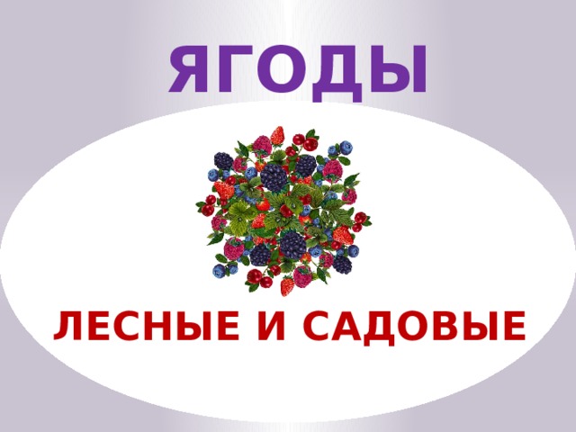 ЯГОДЫ ЛЕСНЫЕ И САДОВЫЕ