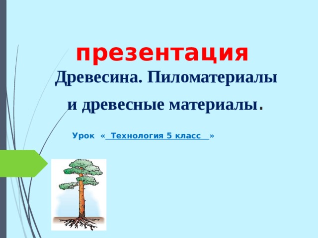 презентация   Древесина. Пиломатериалы и древесные материалы . Урок « Технология 5 класс »