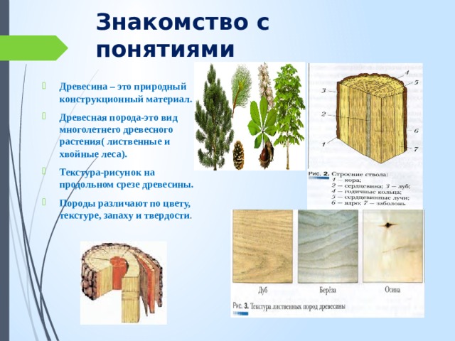 Знакомство с понятиями