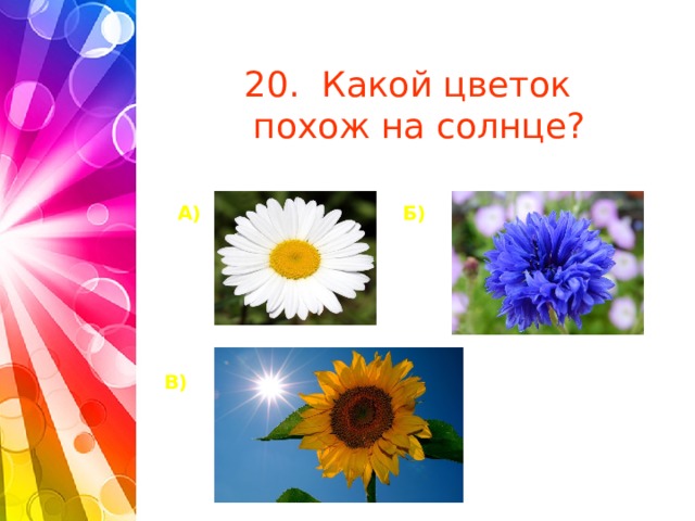 20. Какой цветок  похож на солнце?    А) Б)       В)