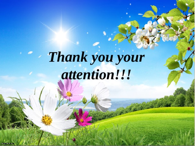 Thank you your attention!!!