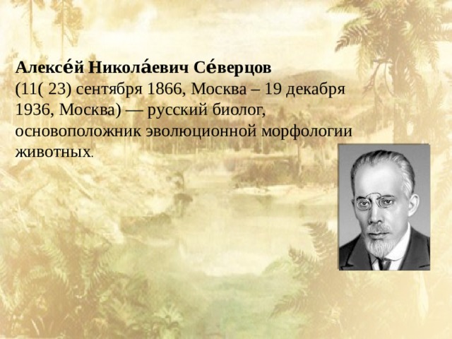 Алексе́й Никола́евич Се́верцов   (11( 23) сентября 1866, Москва – 19 декабря 1936, Москва) — русский биолог, основоположник эволюционной морфологии животных .