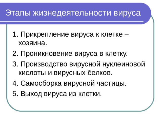 Этапы жизнедеятельности вируса 1. Прикрепление вируса к клетке –хозяина. 2. Проникновение вируса в клетку. 3. Производство вирусной нуклеиновой кислоты и вирусных белков. 4. Самосборка вирусной частицы. 5. Выход вируса из клетки.