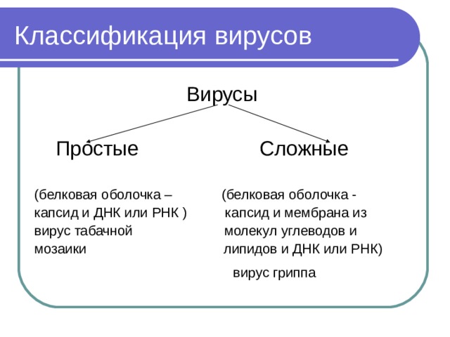 Классификация вирусов Вирусы   Простые  Сложные   (белковая оболочка – (белковая оболочка - капсид и ДНК или РНК ) капсид и мембрана из вирус табачной молекул углеводов и мозаики липидов и ДНК или РНК)  вирус гриппа