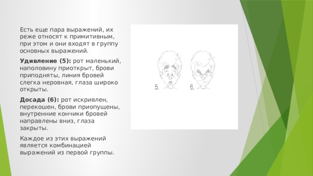 Есть еще пара выражений, их реже относят к примитивным, при этом и они входят в группу основных выражений. Удивление (5): рот маленький, наполовину приоткрыт, брови приподняты, линия бровей слегка неровная, глаза широко открыты. Досада (6): рот искривлен, перекошен, брови приопущены, внутренние кончики бровей направлены вниз, глаза закрыты. Каждое из этих выражений является комбинацией выражений из первой группы.