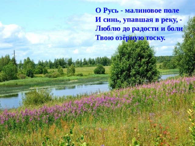 О Русь - малиновое поле  И синь, упавшая в реку, -  Люблю до радости и боли  Твою озёрную тоску.