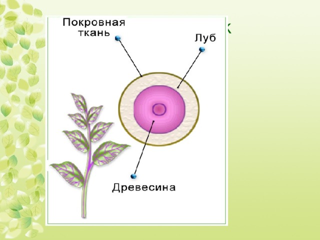 Ваш список