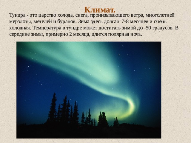 Климат. Тундра - это царство холода, снега, пронизывающего ветра, многолетней мерзлоты, метелей и буранов. Зима здесь долгая 7-8 месяцев и очень холодная. Температура в тундре может достигать зимой до -50 градусов. В середине зимы, примерно 2 месяца, длится полярная ночь.