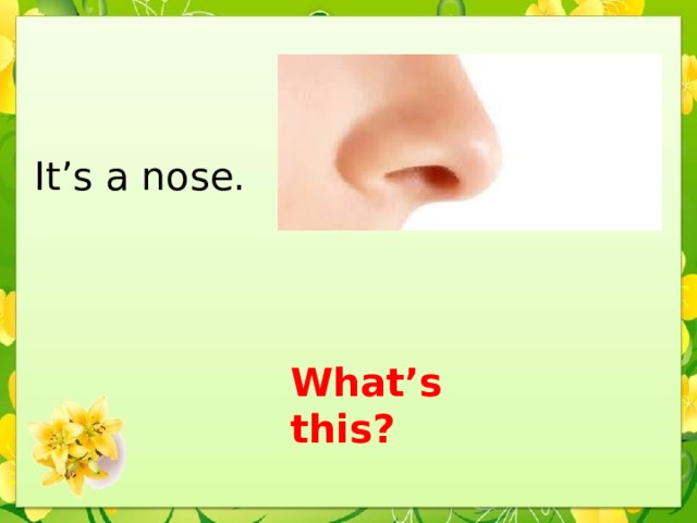 It’s a nose. What’s this?