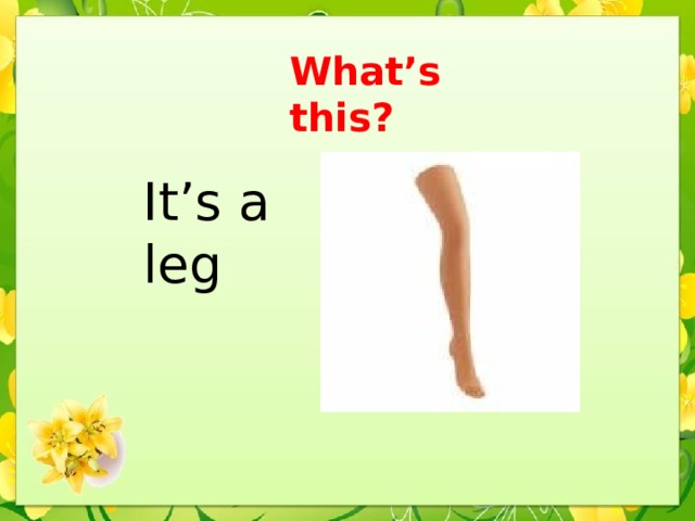 What’s this? It’s a leg