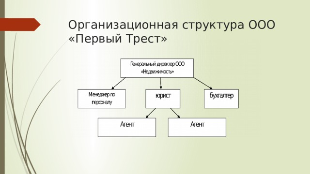 Организационная структура ООО «Первый Трест»