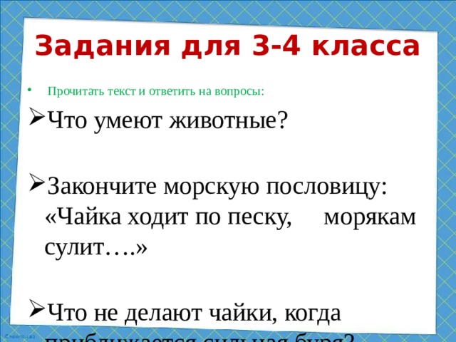 Задания для 3-4 класса  Прочитать текст и ответить на вопросы: Что умеют животные? Закончите морскую пословицу: «Чайка ходит по песку, морякам сулит….» Что не делают чайки, когда приближается сильная буря?