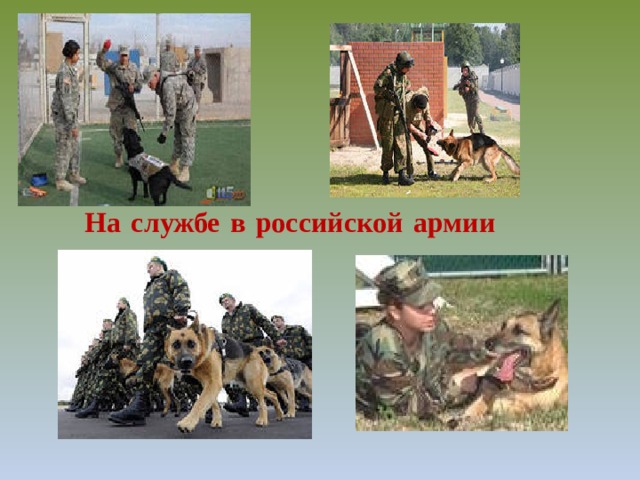 На службе в российской армии