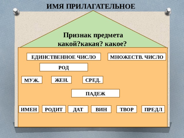 ИМЯ ПРИЛАГАТЕЛЬНОЕ Признак предмета какой?какая? какое? ЕДИНСТВЕННОЕ ЧИСЛО МНОЖЕСТВ. ЧИСЛО РОД СРЕД. ЖЕН. МУЖ. ПАДЕЖ РОДИТ ИМЕН ДАТ ВИН ТВОР ПРЕДЛ