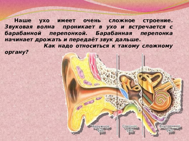 Наше ухо имеет очень сложное строение . Звуковая волна проникает в ухо и встречается с барабанной перепонкой. Барабанная перепонка начинает дрожать и передаёт звук дальше.  Как надо относиться к такому сложному органу?