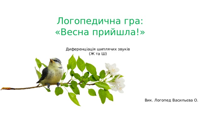 Логопедична гра: «Весна прийшла!» Диференціація шиплячих звуків (Ж та Ш) Вик. Логопед Васильєва О.