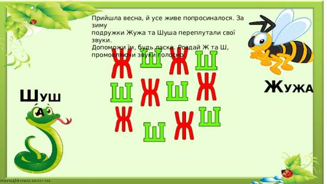 Прийшла весна, й усе живе попросиналося. За зиму подружки Жужа та Шуша переплутали свої звуки. Допоможи їм, будь ласка. Роздай Ж та Ш, промовляючи звуки голосно. Ж УЖА Ш УША