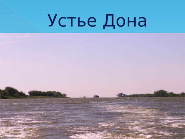 Устье Дона