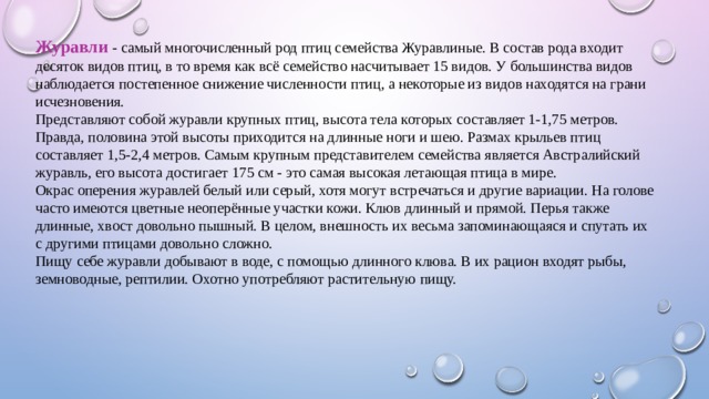 Журавли - самый многочисленный род птиц семейства Журавлиные. В состав рода входит десяток видов птиц, в то время как всё семейство насчитывает 15 видов. У большинства видов наблюдается постепенное снижение численности птиц, а некоторые из видов находятся на грани исчезновения. Представляют собой журавли крупных птиц, высота тела которых составляет 1-1,75 метров. Правда, половина этой высоты приходится на длинные ноги и шею. Размах крыльев птиц составляет 1,5-2,4 метров. Самым крупным представителем семейства является Австралийский журавль, его высота достигает 175 см - это самая высокая летающая птица в мире. Окрас оперения журавлей белый или серый, хотя могут встречаться и другие вариации. На голове часто имеются цветные неоперённые участки кожи. Клюв длинный и прямой. Перья также длинные, хвост довольно пышный. В целом, внешность их весьма запоминающаяся и спутать их с другими птицами довольно сложно. Пищу себе журавли добывают в воде, с помощью длинного клюва. В их рацион входят рыбы, земноводные, рептилии. Охотно употребляют растительную пищу.