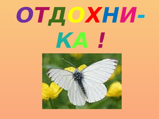 О Т Д О Х Н И - К А !