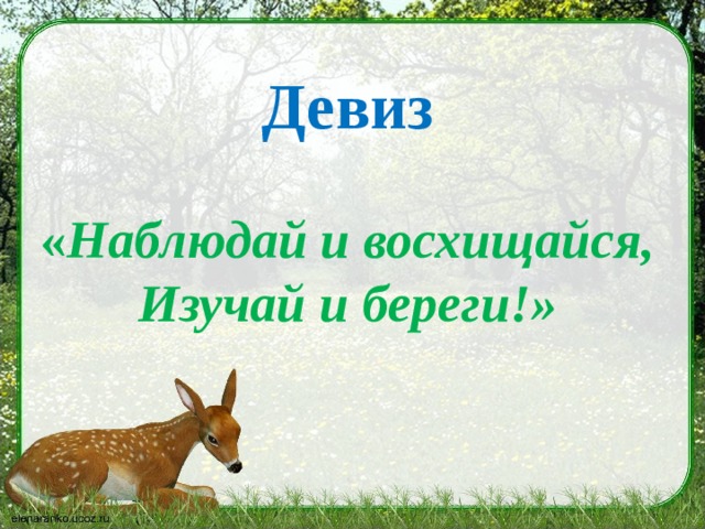 Девиз   « Наблюдай и восхищайся,  Изучай и береги!»