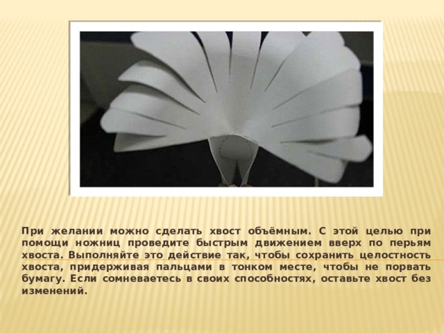 При желании можно сделать хвост объёмным. С этой целью при помощи ножниц проведите быстрым движением вверх по перьям хвоста. Выполняйте это действие так, чтобы сохранить целостность хвоста, придерживая пальцами в тонком месте, чтобы не порвать бумагу. Если сомневаетесь в своих способностях, оставьте хвост без изменений.