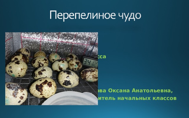 Проект ученика 4 класса  ГБОУ Школа № 1212  Руководитель: Михайлова Оксана Анатольевна, учитель начальных классов