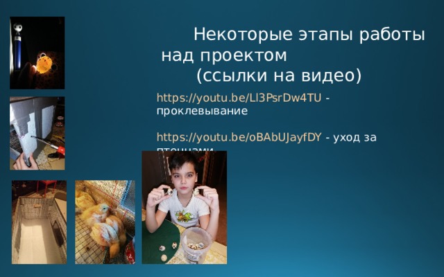 Некоторые этапы работы над проектом  (ссылки на видео) https://youtu.be/Ll3PsrDw4TU - проклевывание https://youtu.be/oBAbUJayfDY - уход за птенцами