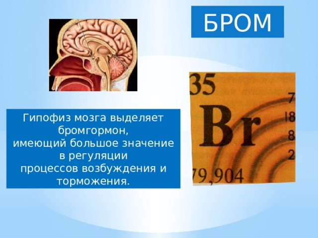 БРОМ Гипофиз мозга выделяет бромгормон, имеющий большое значение в регуляции процессов возбуждения и торможения.