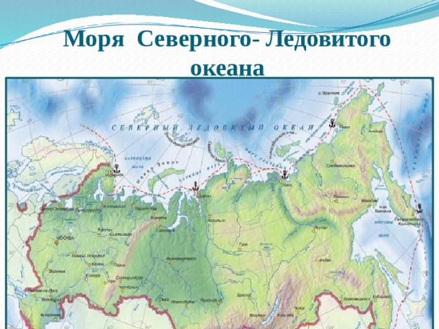 Моря Северного- Ледовитого океана