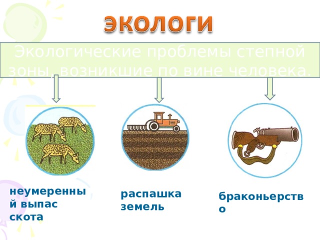 Экологические проблемы зон. Экологические проблемы Степной зоны. Проблемы Степной зоны России. Проблемы зоны степей. Экологические проблемы Степной зоны России.