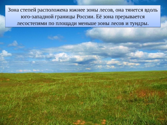 Зона степей расположена южнее зоны лесов, она тянется вдоль юго-западной границы России. Её зона прерывается лесостепями по площади меньше зоны лесов и тундры.