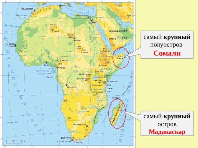 самый крупный полуостров Сомали самый крупный остров Мадакаскар