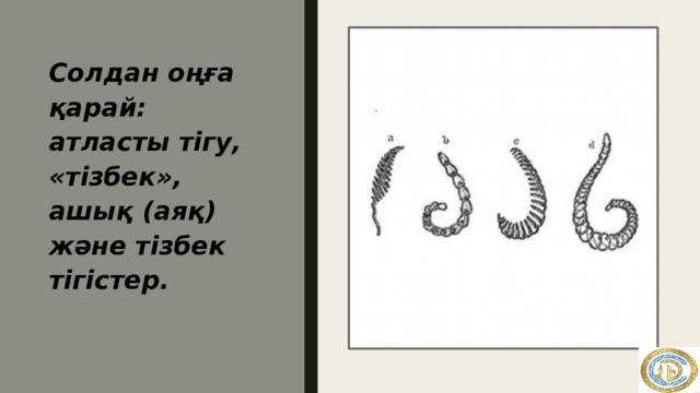 Солдан оңға қарай: атласты тігу, «тізбек», ашық (аяқ) және тізбек тігістер.