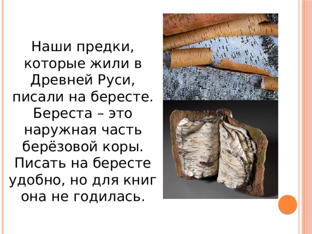 Наши предки, которые жили в Древней Руси, писали на бересте. Береста – это наружная часть берёзовой коры. Писать на бересте удобно, но для книг она не годилась.