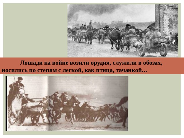 Лошади на войне возили орудия, служили в обозах, носились по степям с легкой, как птица, тачанкой…