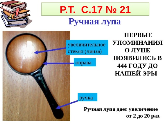 Р.Т. С.17 № 21