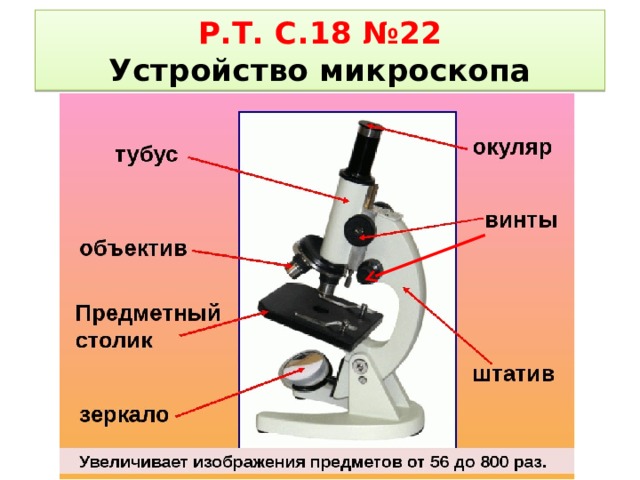 Р.Т. С.18 №22  Устройство микроскопа