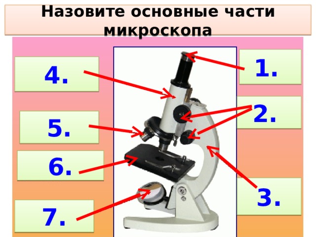 Таблица микроскопа. Перечислить главные части микроскопа. Назовите основные части микроскопа. Основная часть микроскопа. Назовите главные части микроскопа.