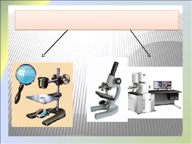 Приборы в биологии. Увеличительные приборы биологов. Увеличительная способность микроскопа это. Приборы в биологии 5 класс.