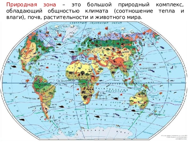 Природная зона – это большой природный комплекс, обладающий общностью климата (соотношение тепла и влаги), почв, растительности и животного мира.