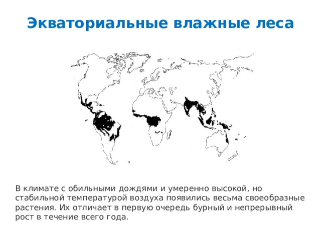 Влажные экваториальные леса карта мира