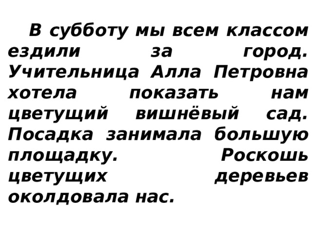 В субботу мы всем классом ездили за город. Учительница Алла Петровна хотела показать нам цветущий вишнёвый сад. Посадка занимала большую площадку. Роскошь цветущих деревьев околдовала нас.