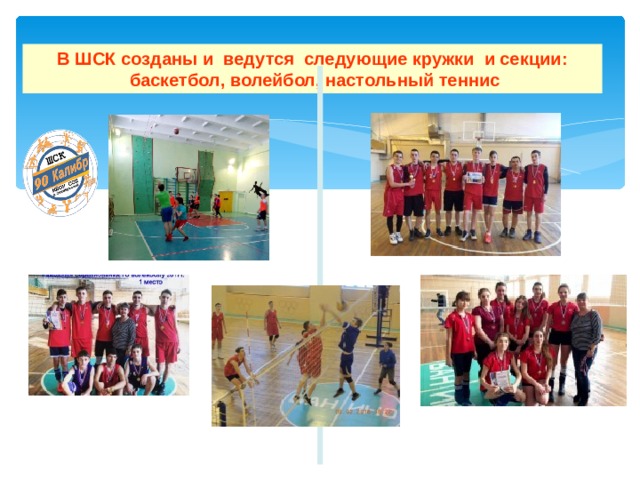 В ШСК созданы и ведутся следующие кружки и секции:  баскетбол, волейбол, настольный теннис