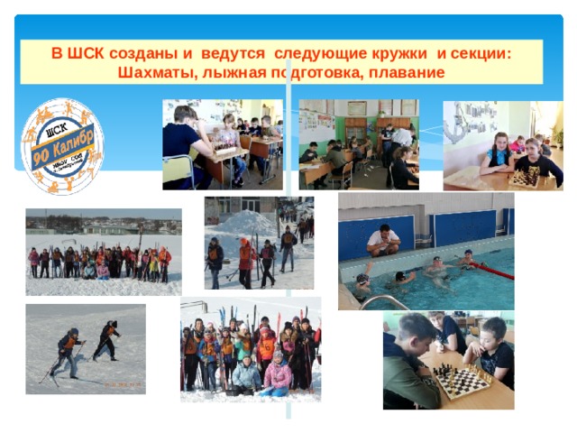 В ШСК созданы и ведутся следующие кружки и секции: Шахматы, лыжная подготовка, плавание